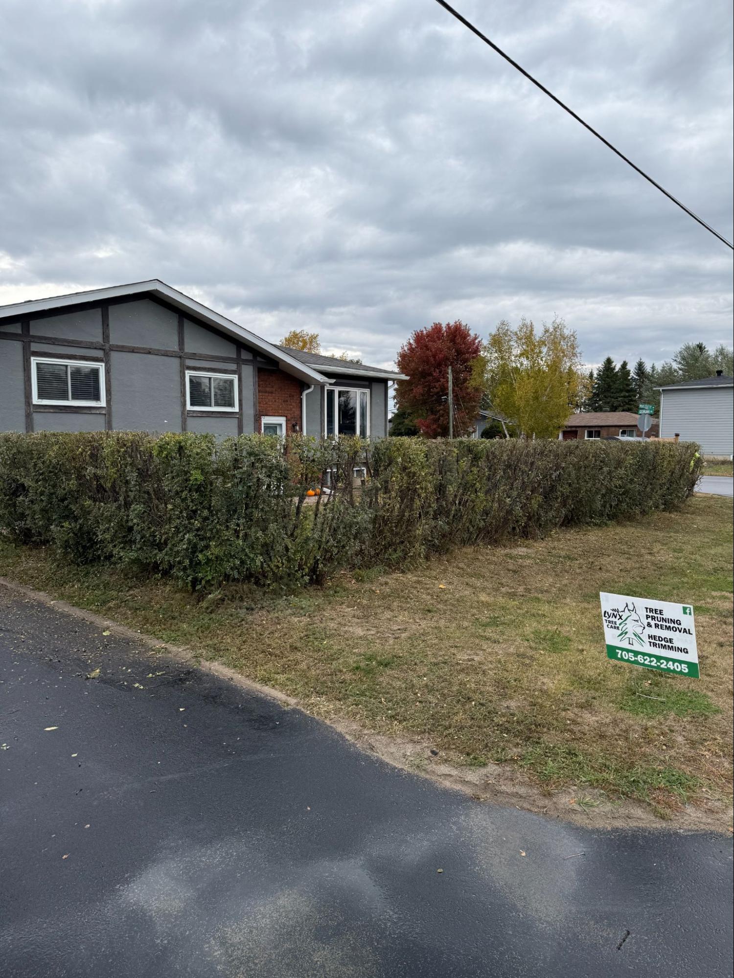 Hedge trimming — Lynx Tree Care