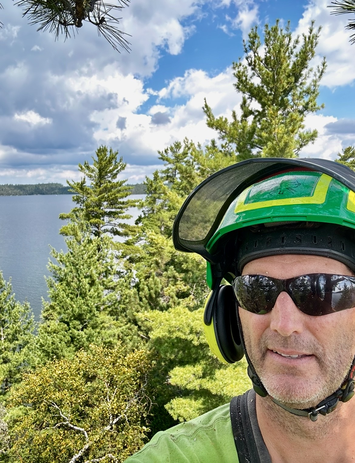 Lynx Tree Care — image13