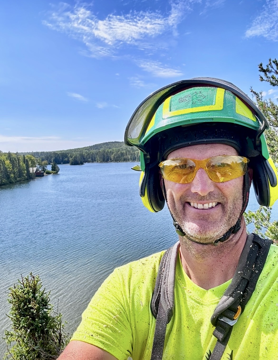 Lynx Tree Care — image55