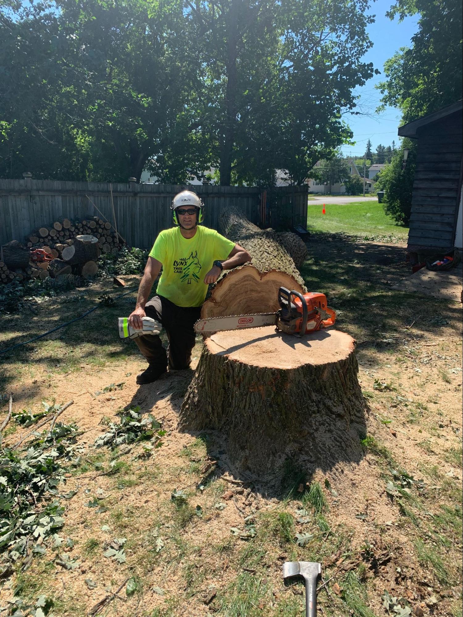 Lynx Tree Care — image6