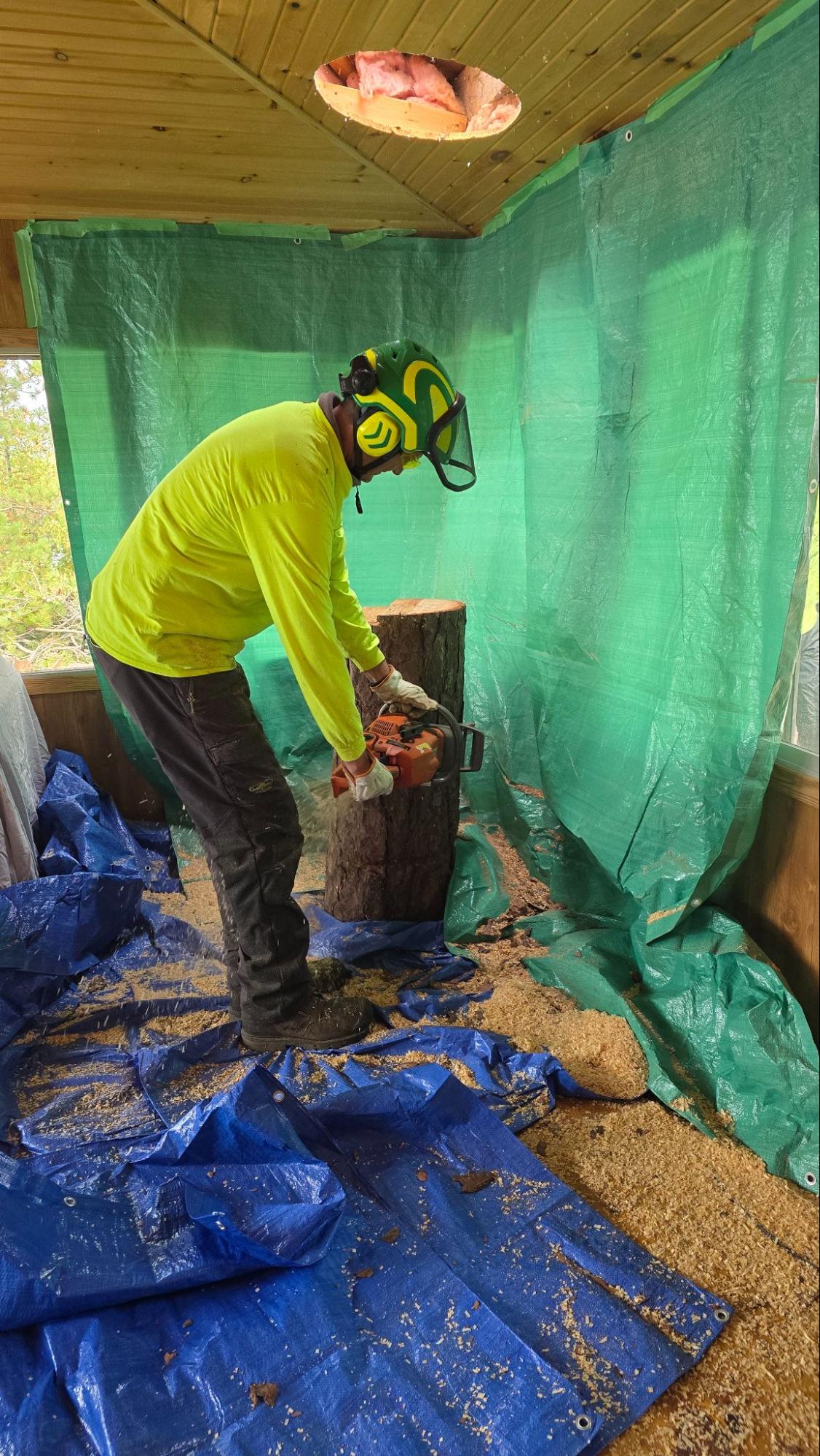 Lynx Tree Care — image68