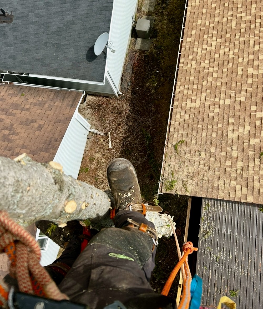 Tree work on remote and limited access properties