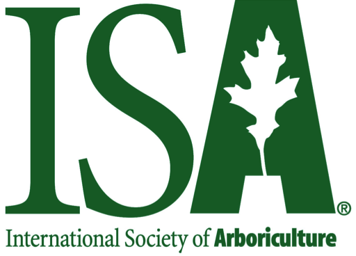 Tree Service Example