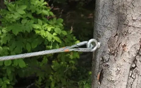 Storm Damage Cleanup